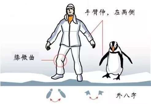 雪天摔伤患者增多 西安市红会医院专家提醒：要小心 也要“会摔跤”