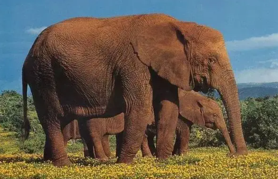 ����������������ѧ�ң�����21���²����£���������10�»�̥