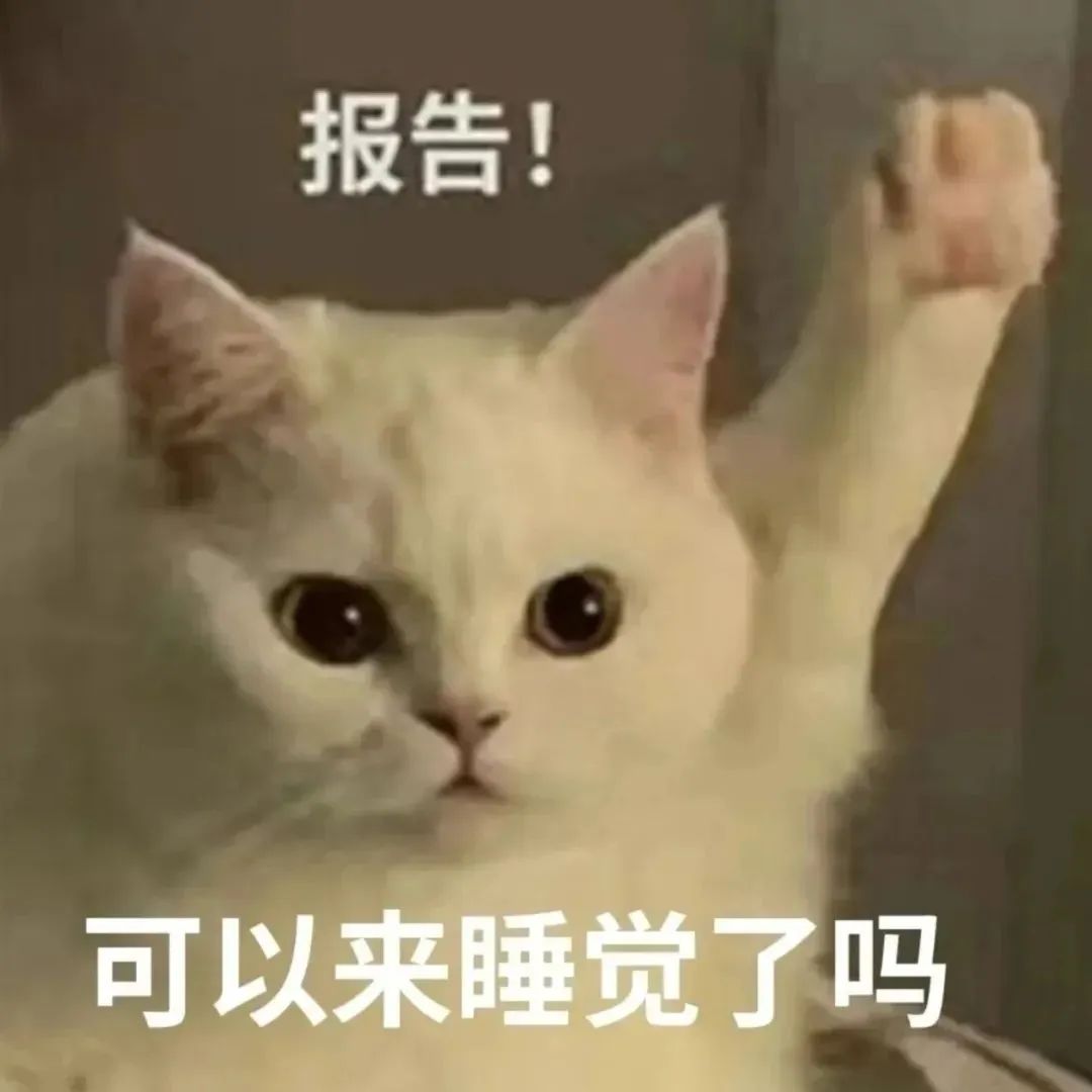 小猫咪问号脸表情包