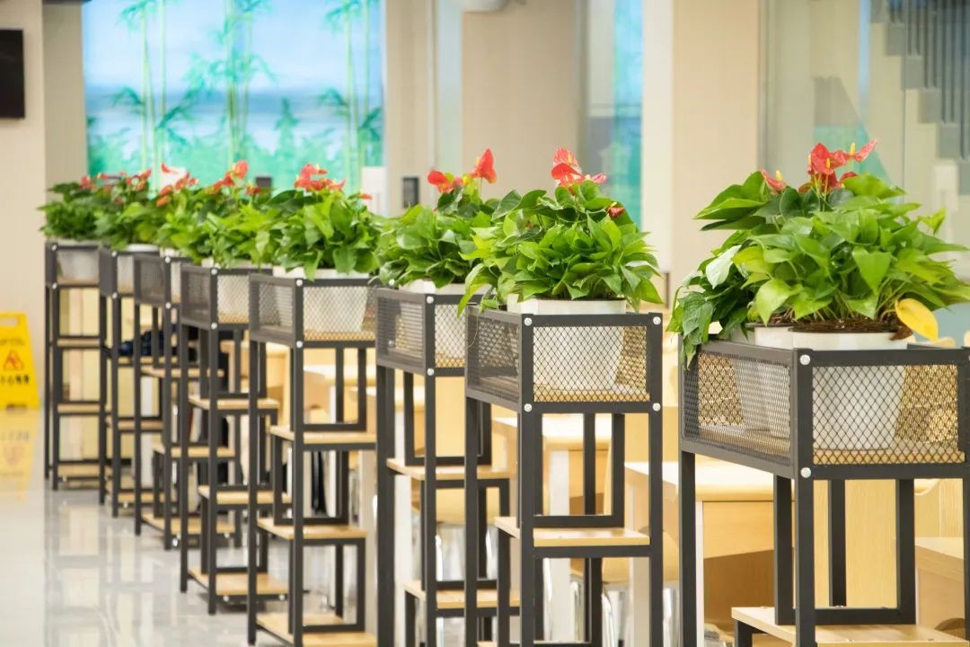 高考必胜！坐拥3个地铁站，食堂比男寝还多！2022，北师大等你赴约！