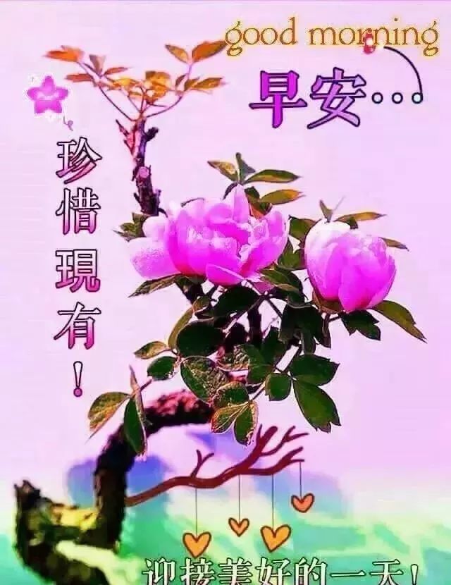 早上好朋友，春去秋来，唯有牵挂你的心，始终如一，幸福就在身边图片