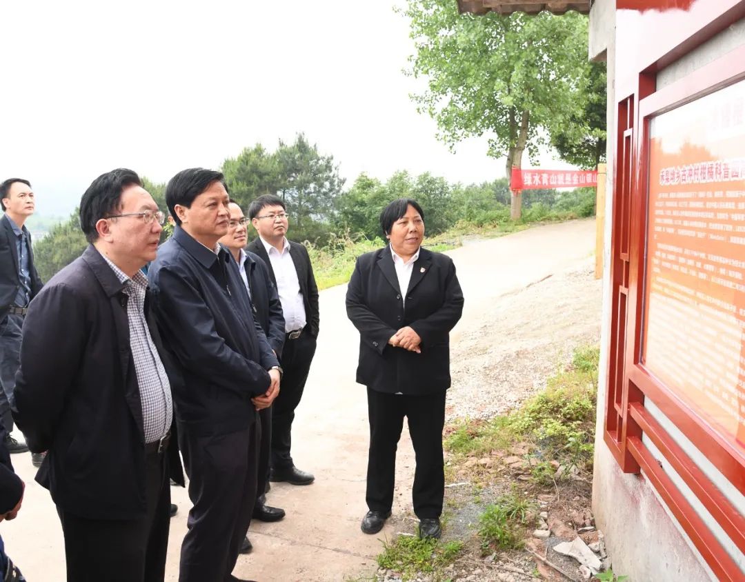 李万千在芷江调研乡村振兴工作时指出 ​推动现代农业标准化规模化品牌化 以产业发展促进乡村振兴