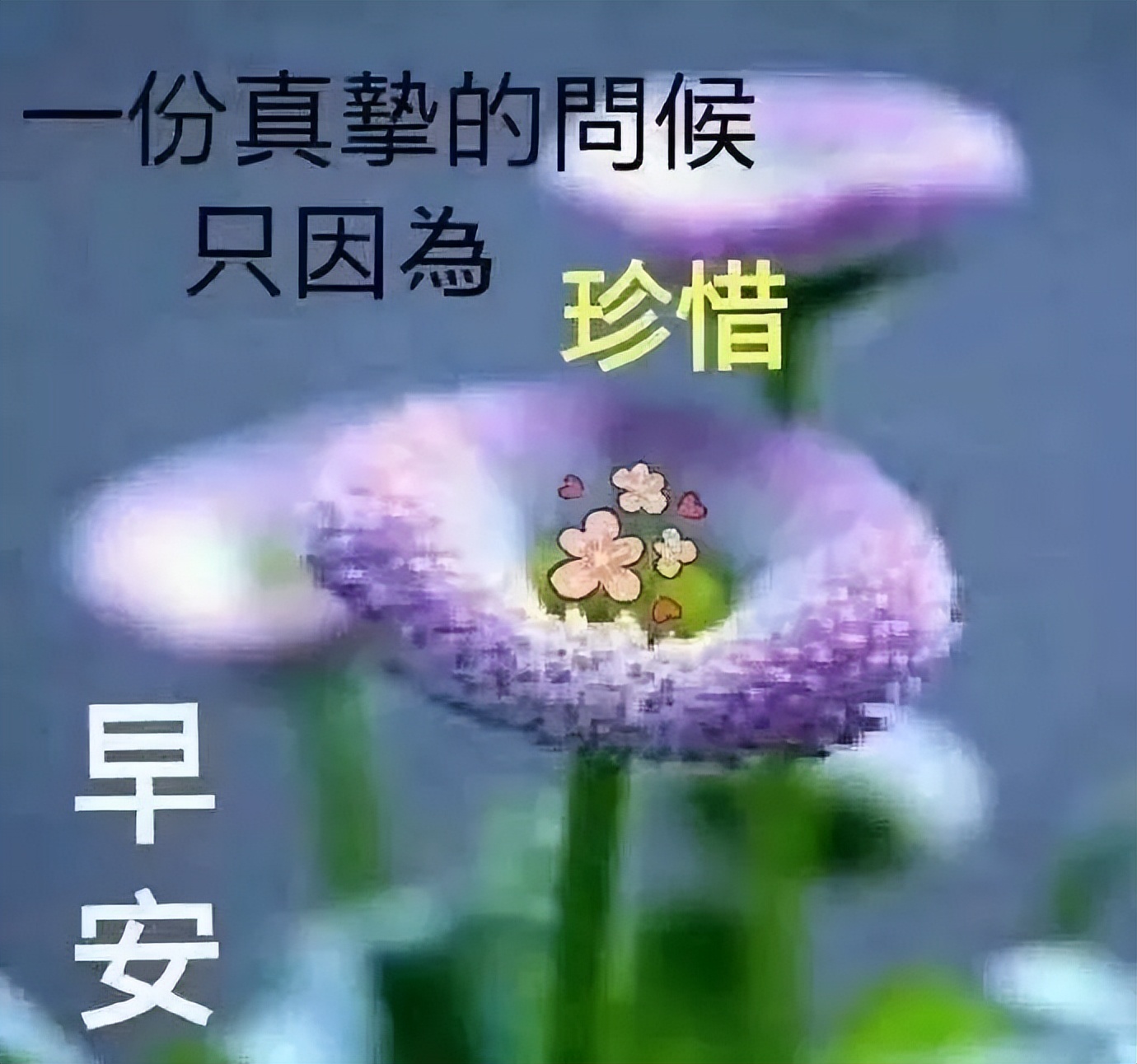 新的一天微信早上好的问候语图片 问声早安、心中舒坦图片