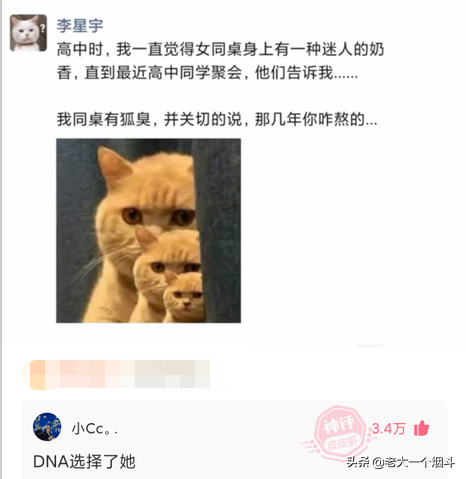 搞笑神回复：你的脸上写满了故事