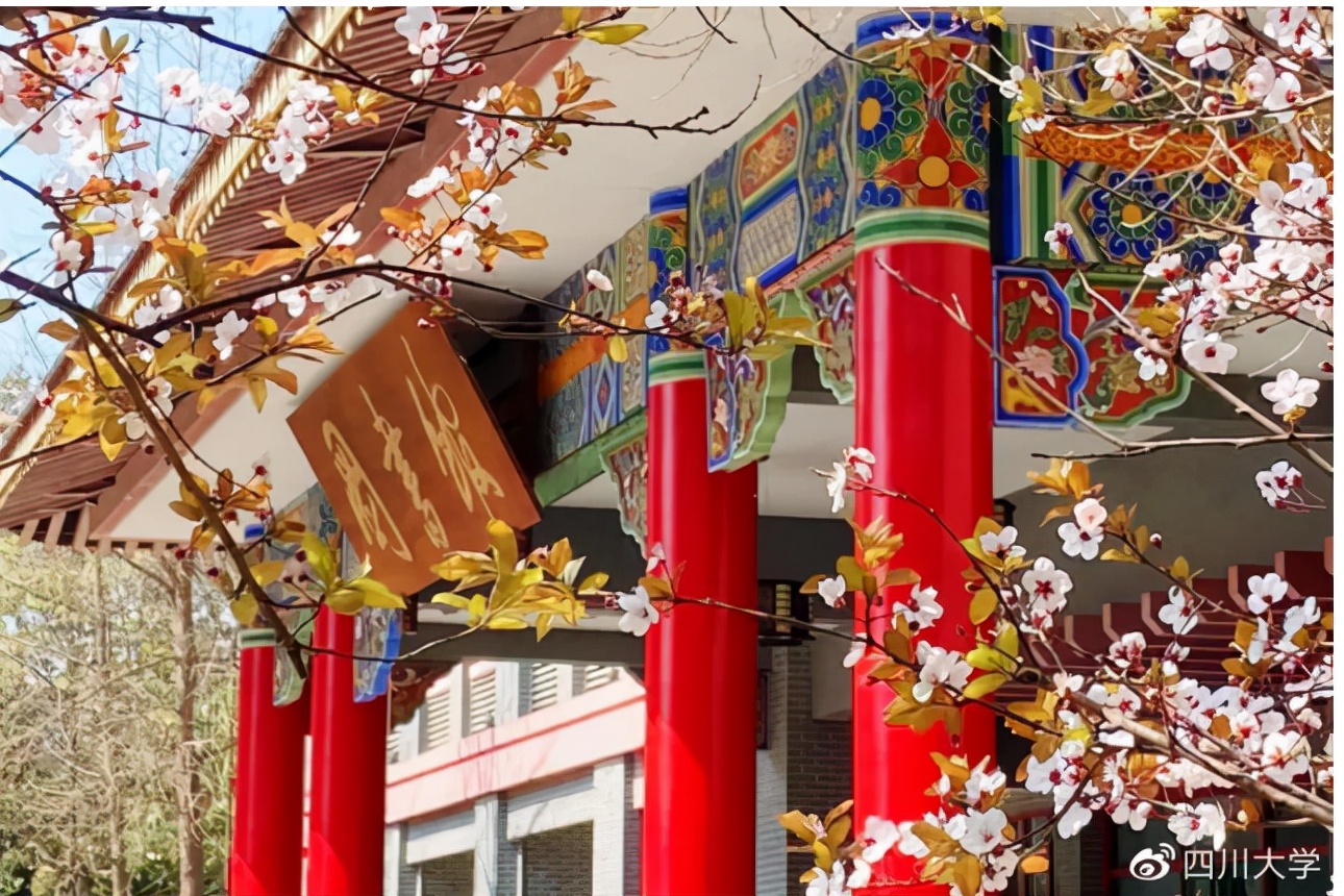 7人保研，4人前往清华！这群“造卫星”的青年来自四川大学！