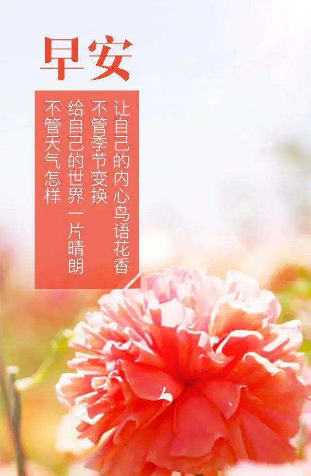 微信精选唯美早上好祝福图片，美好的清晨朋友们早上好图片