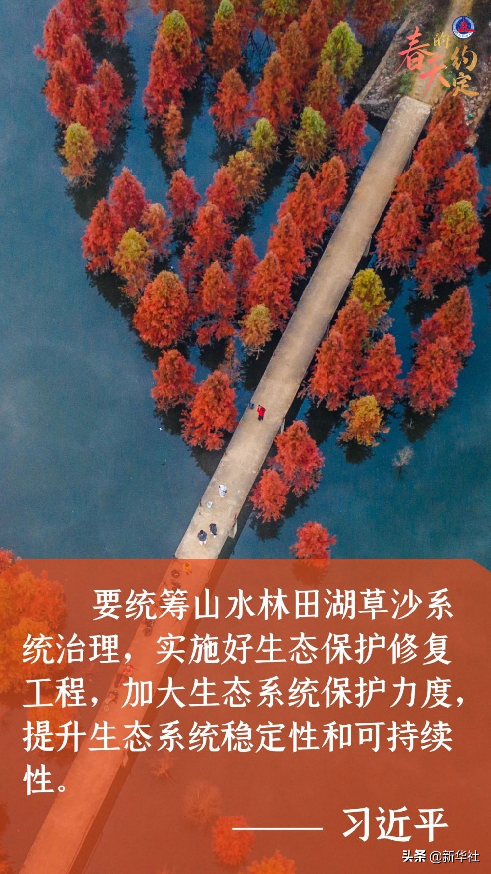 海报 | 春天的约定