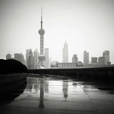 生活，就该有些阳光，有点自由，还有一些花朵