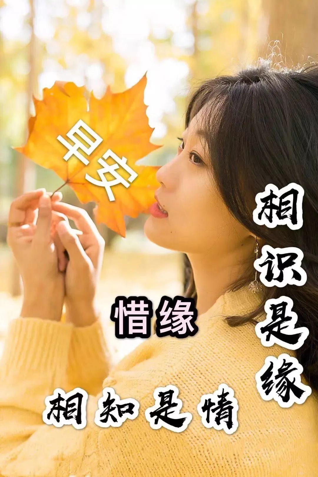 春天里创意动态鲜花图片暖心祝福早上好句子 周六愉快图片