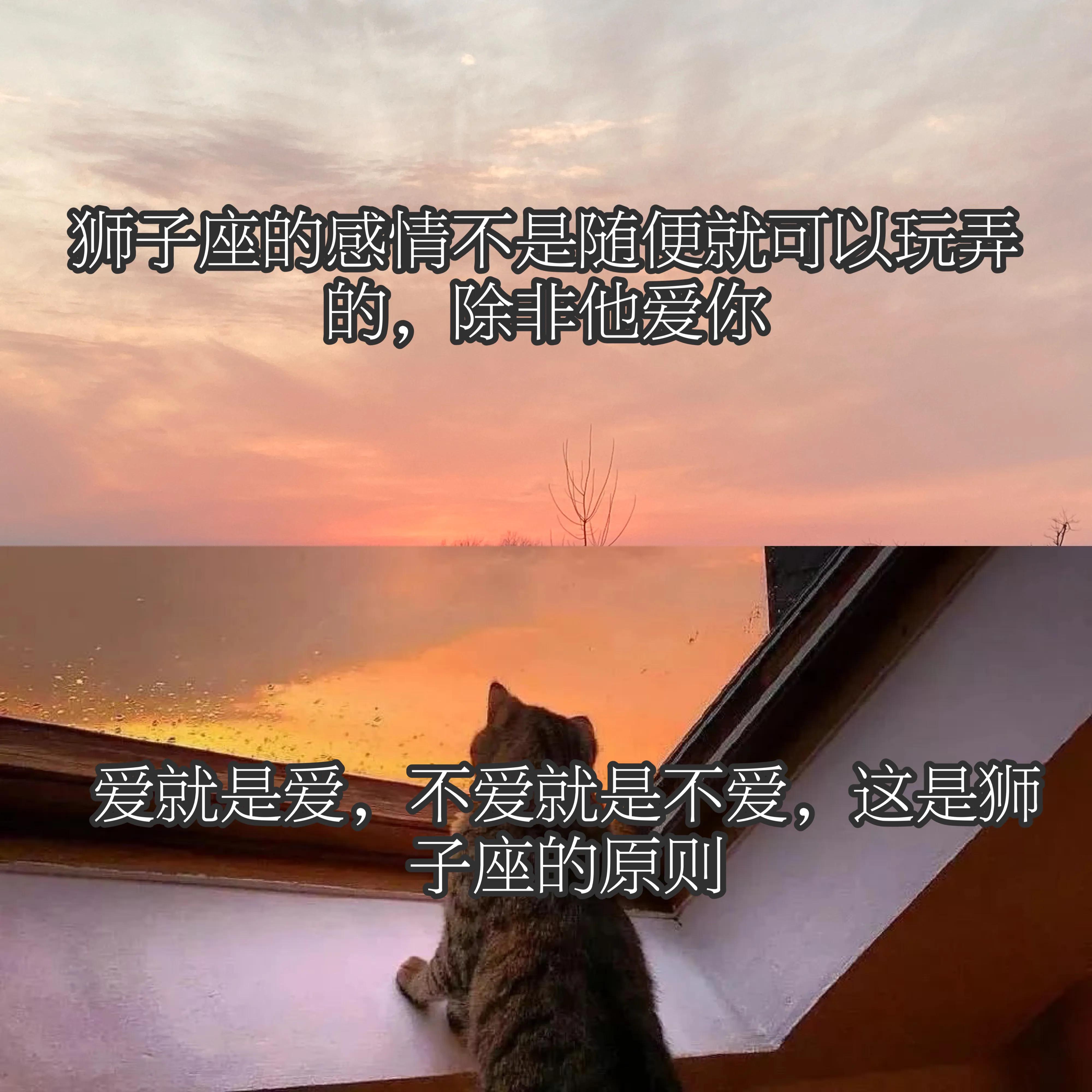 狮子座会被什么样的人吸引？