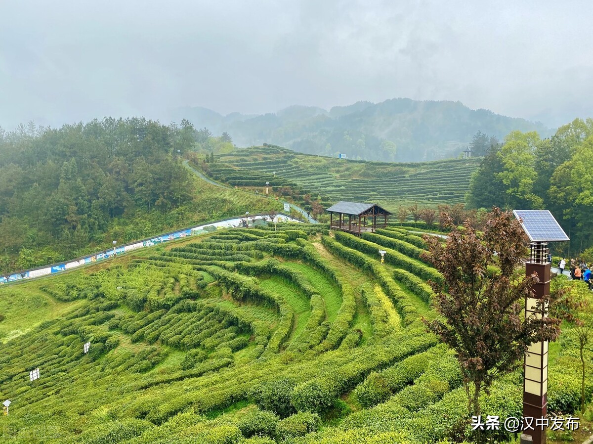 近期天气变化多端，汉中市气象局建议积极防范不利影响