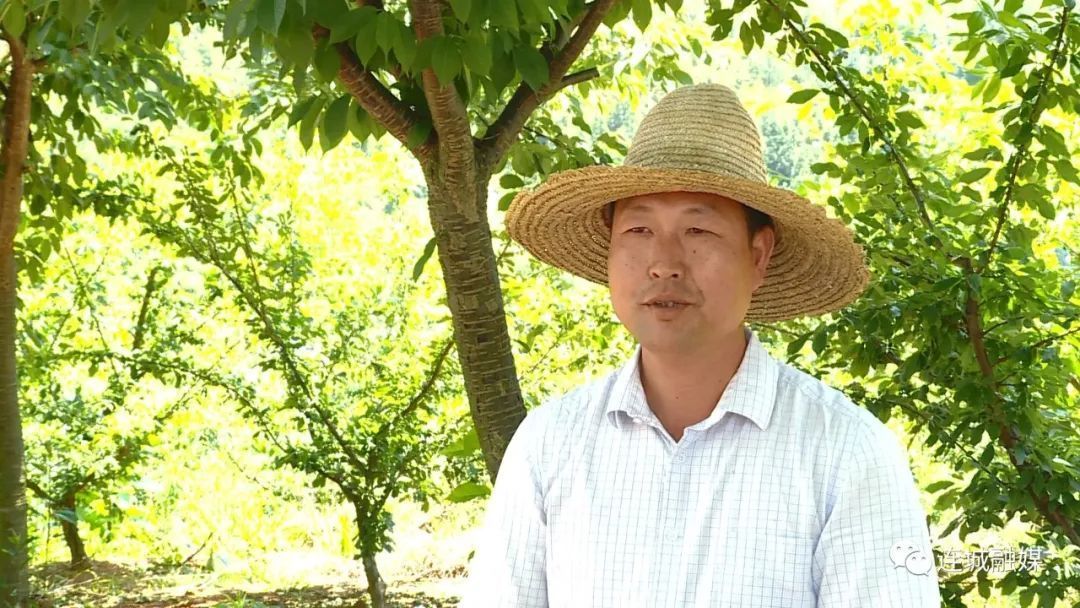 「全面推進鄉村振興」姑田：培育高優特色農業 推動農業產業發展