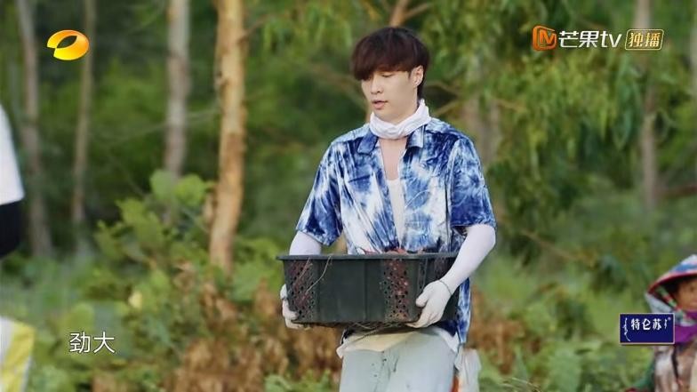 刘震云做客蘑菇屋，刘奕君&容声WILL冰箱揭晓“冻龄”秘籍