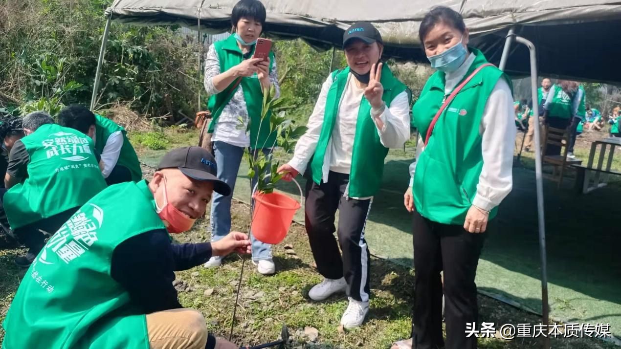 “绿色成长力量——助力碳中和·安然在行动”植树活动成功举办
