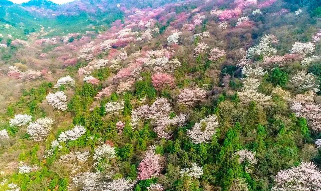 官宣！2月16日起西河景区免门票