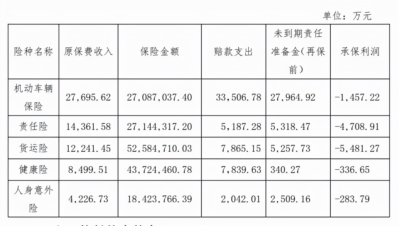 中路保险首次实现完整年度盈利 累亏超5亿且需加强内控管理