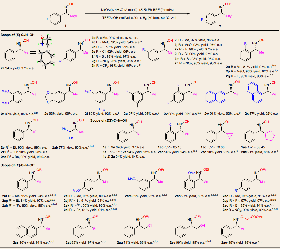 Ni催化，张万斌团队最新Nature Chemistry