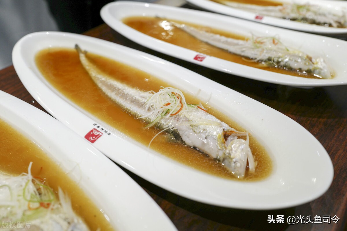 万元一斤的长江刀鱼，人工养殖成功，未来价格能否降到猪肉价？