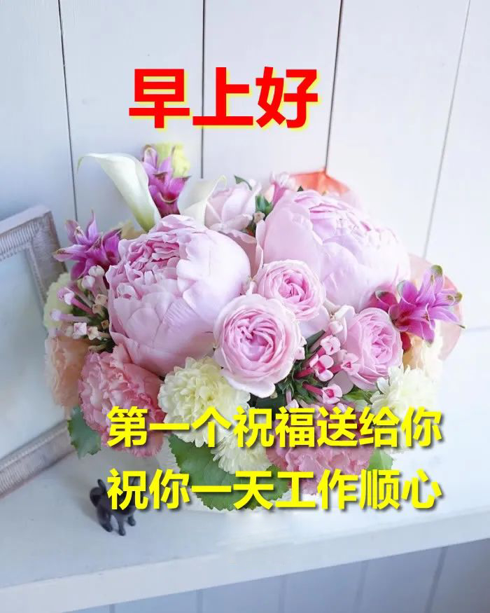 早上好祝福图片 愿所得皆所期、所失皆无碍，时时安好、天天幸福图片