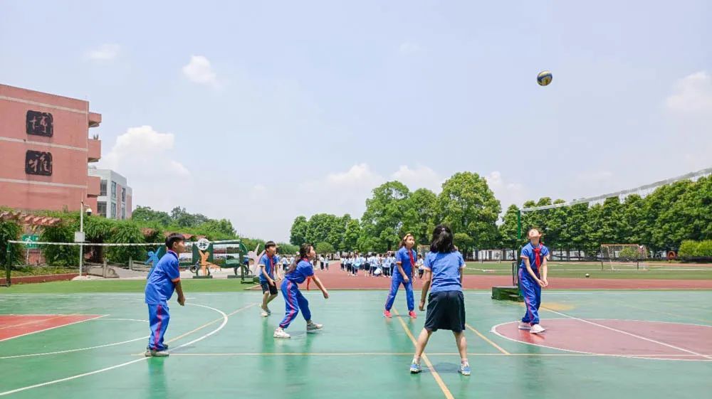 活力金小迎大运 阳光排球伴成长｜金桥小学排球联赛正式拉开帷幕