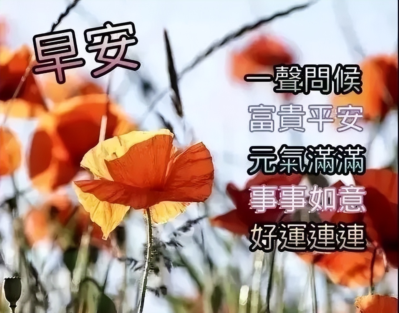 微信问候早上好表情包图片 祝你精神棒棒、活力多多图片