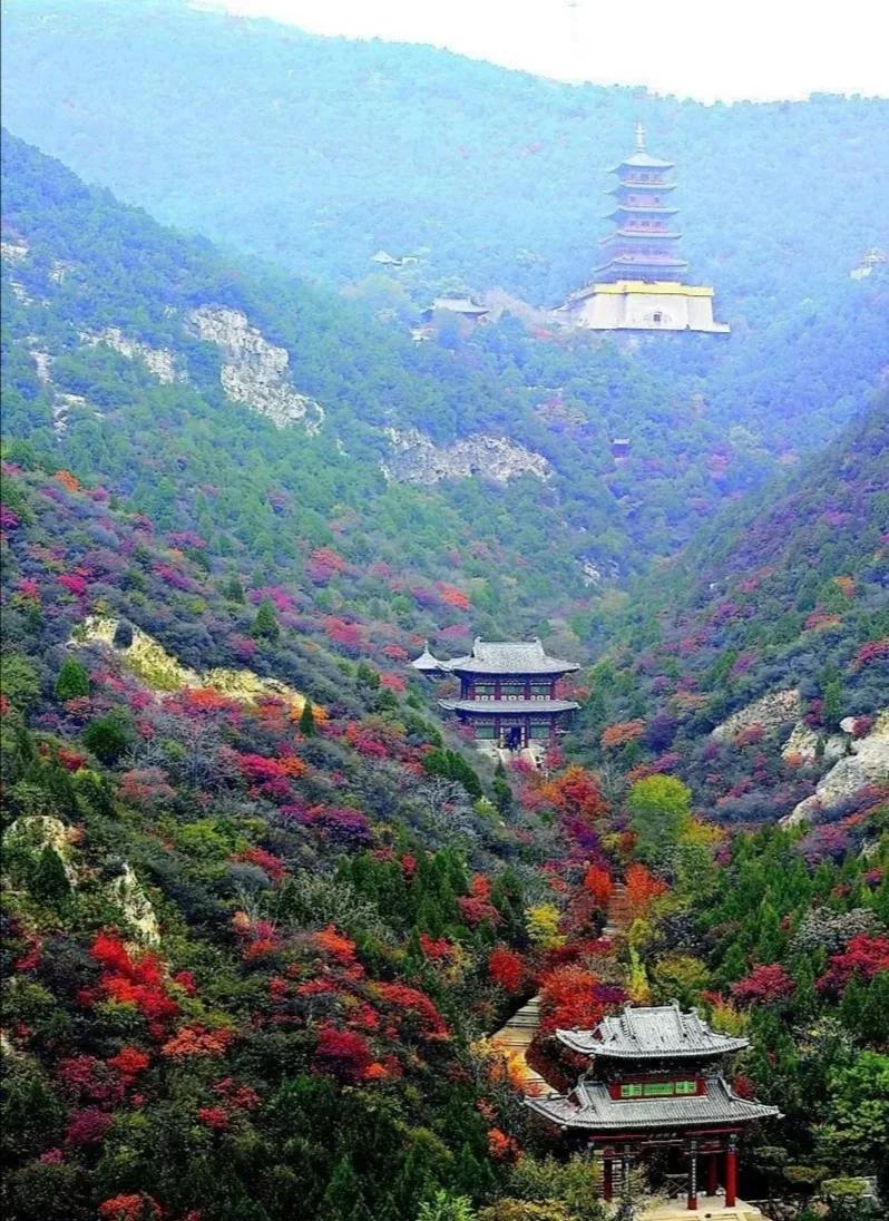 青龙古镇滑雪场门票图片