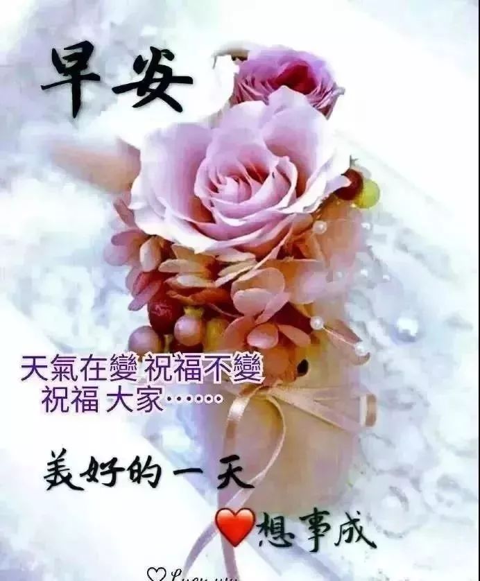 创意的早上好表情包动图祝福语 人之相交交于情，爱之相伴在于懂图片
