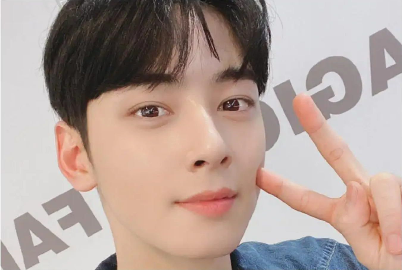 传说中的“发面馒头”们怎么样了？