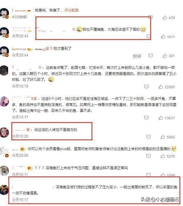 《向往的生活6》又惹争议，被质疑拿道具鱼演戏，节目组发文否认
