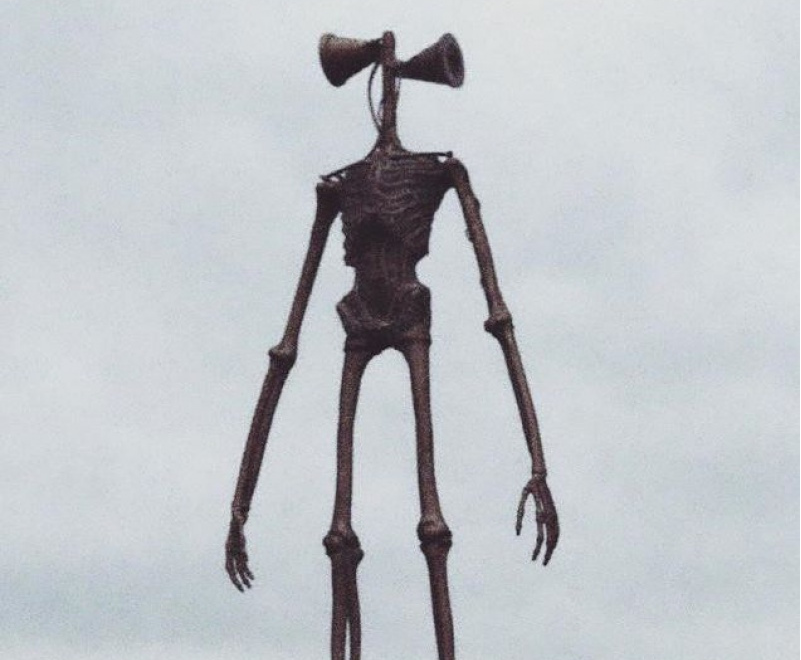 748个账号被起诉冻结！这一词汇不能出现在listing上