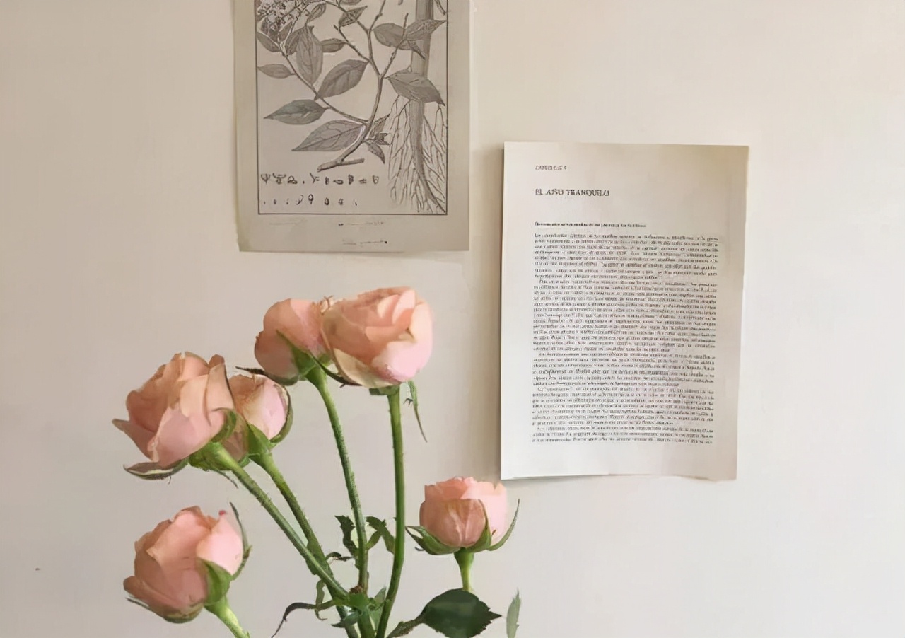 干净的走心句子,清爽治愈,让人豁然开朗