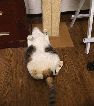 爸，你旁边的叔叔好帅，爸爸：这是你妈，网友当场笑喷了，哈哈哈