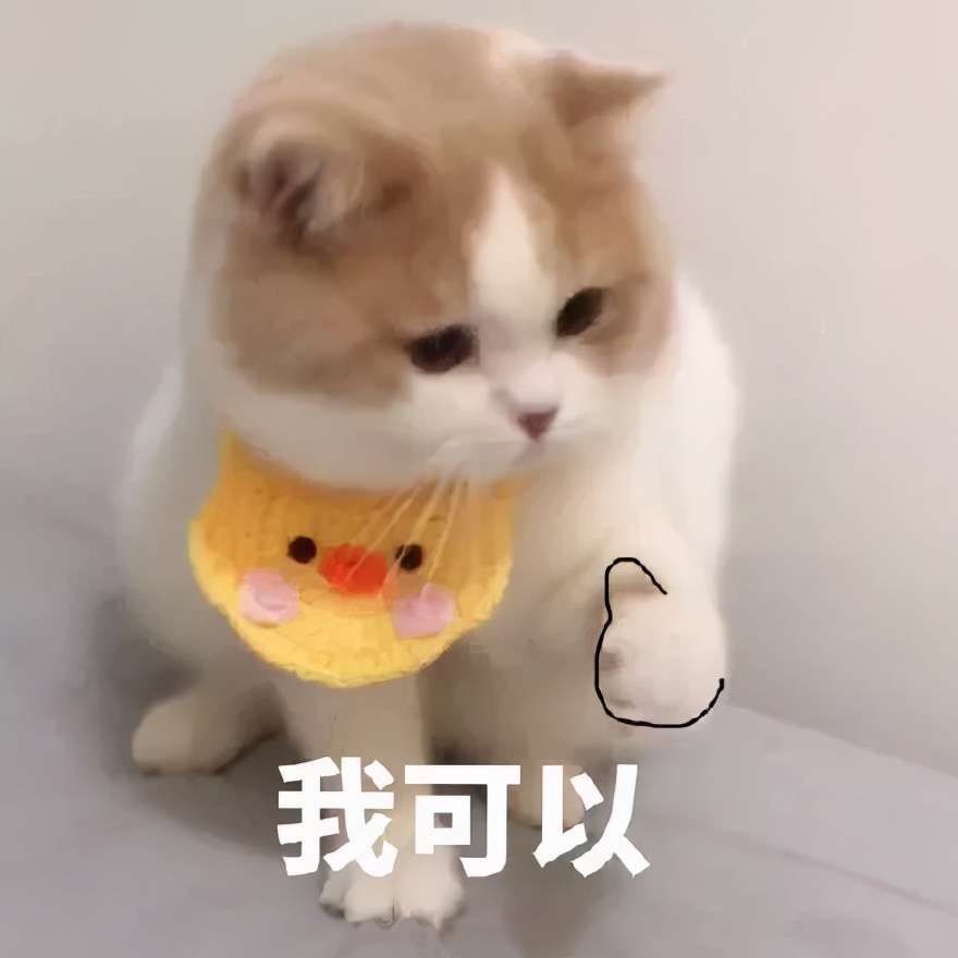 万国觉醒丨纵有狂风拔地起，我亦乘风破万里