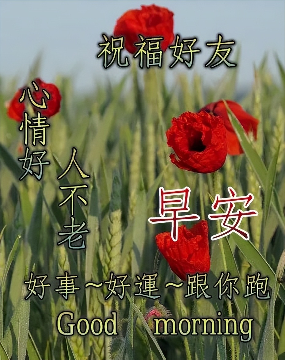 2022周末最新版早上好图片带字大全 愿你今天是最幸运的人图片