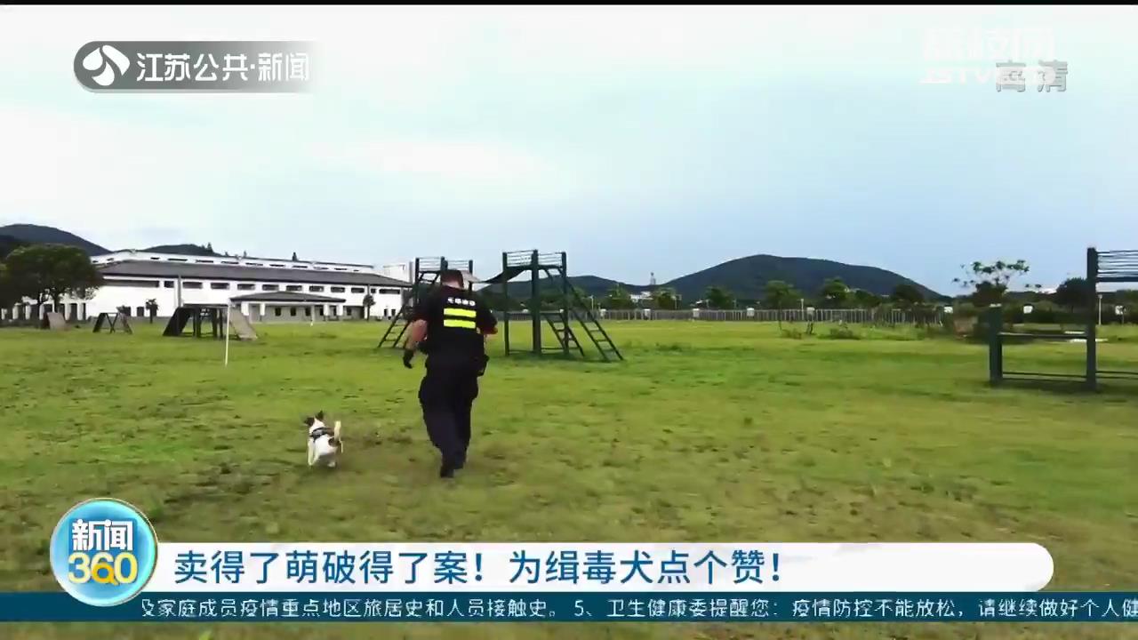 「国际禁毒日」为缉毒犬点个赞