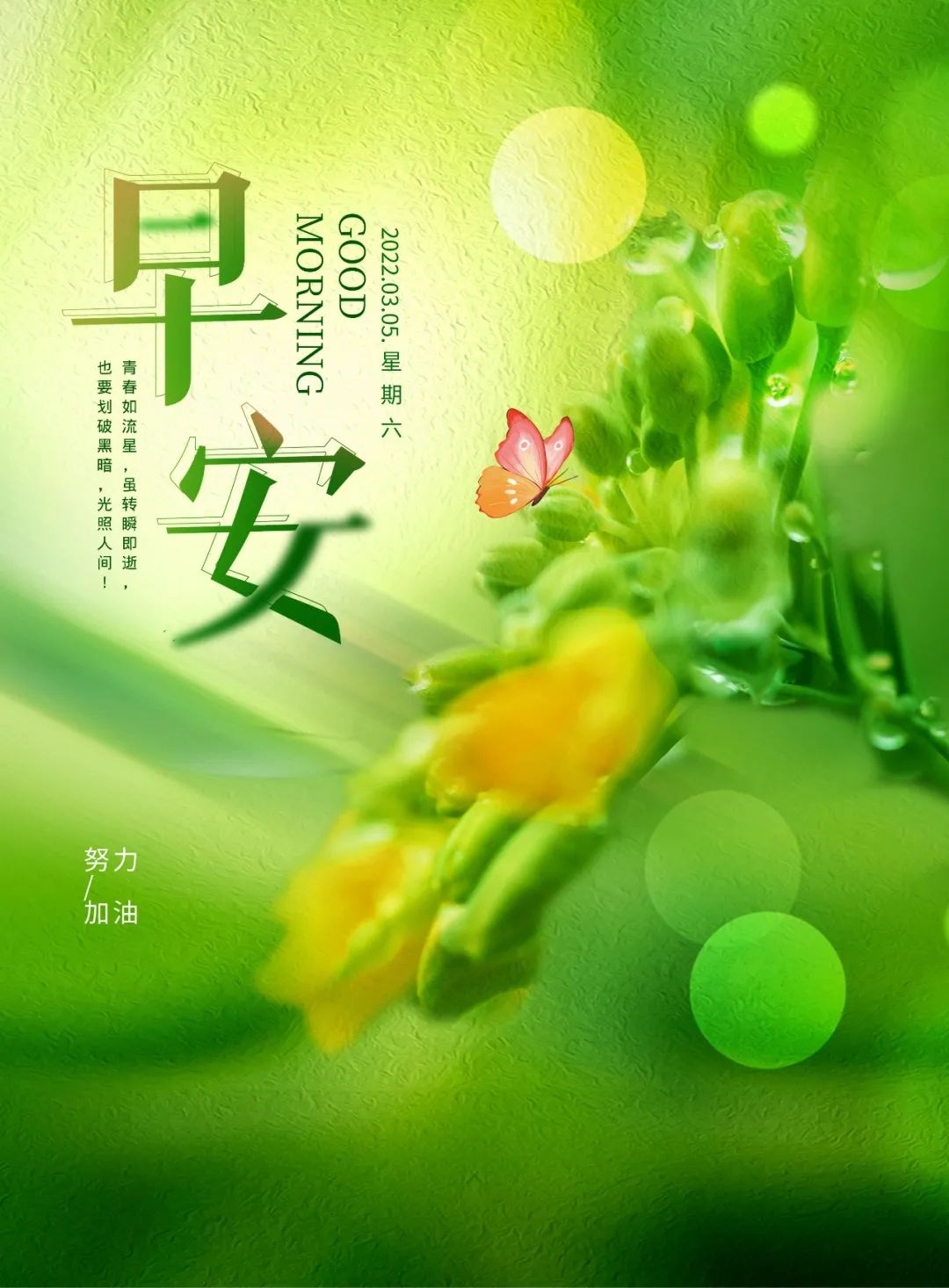 03.05」早安心语,惊蛰正能量语录句子,惊蛰文案海报图片