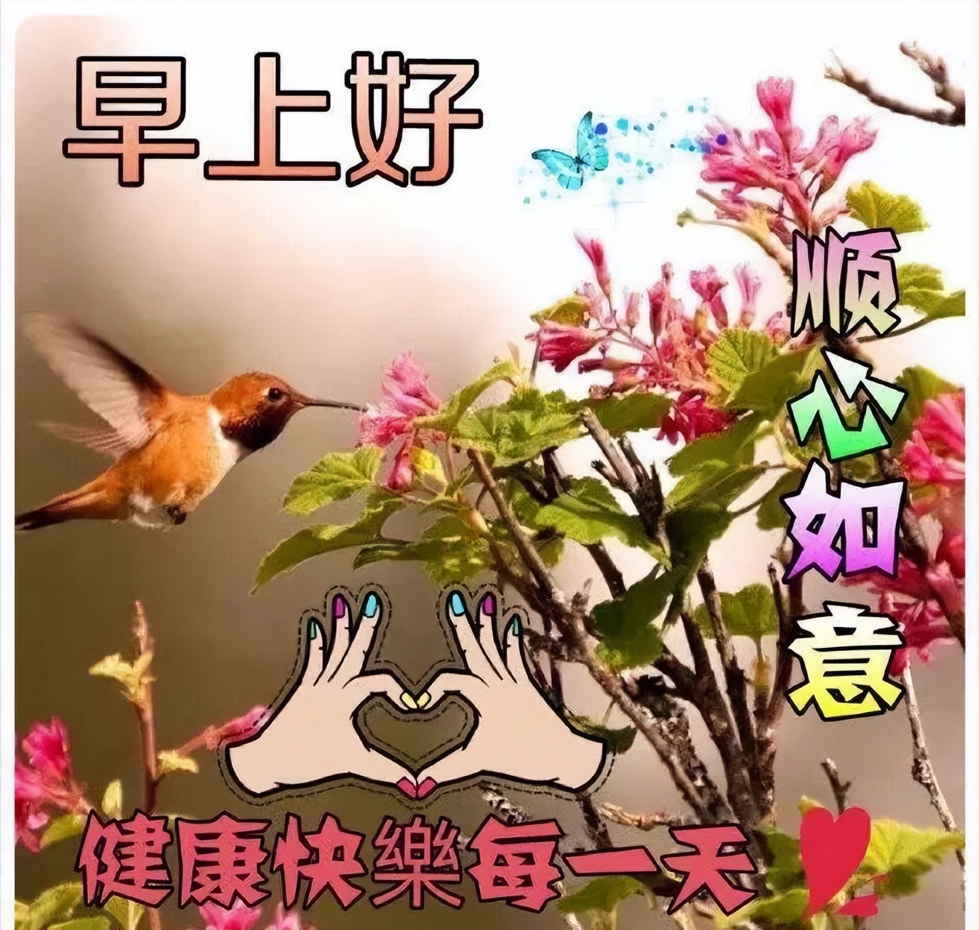 早安朋友圈动态表情图片 鲜花早上好图片带字 感恩的人才能珍惜幸福图片