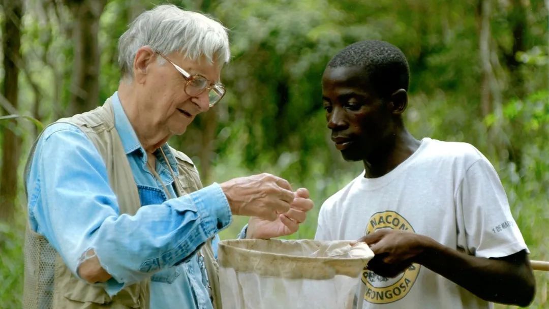 达尔文之后最伟大博物学家，爱德华·威尔逊遗作：与蚂蚁相伴80多年的故事