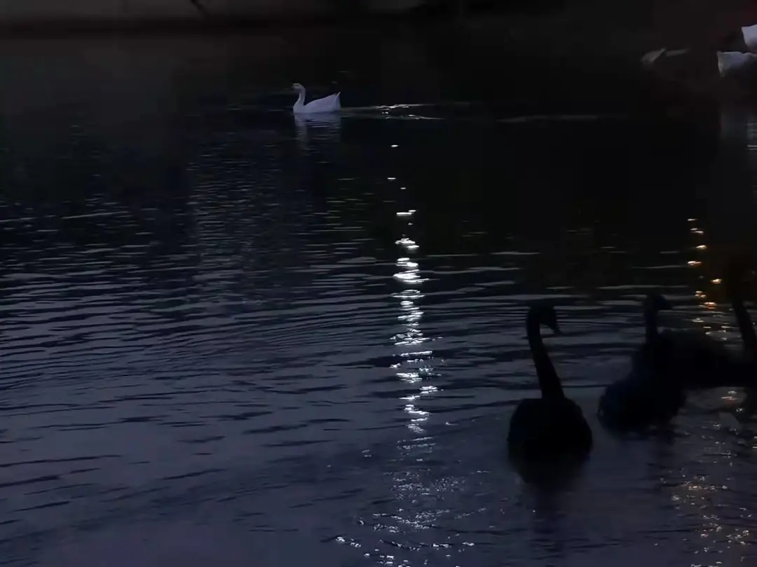 优微推荐丨入股不亏！快来一起探索生活中的小美好吧