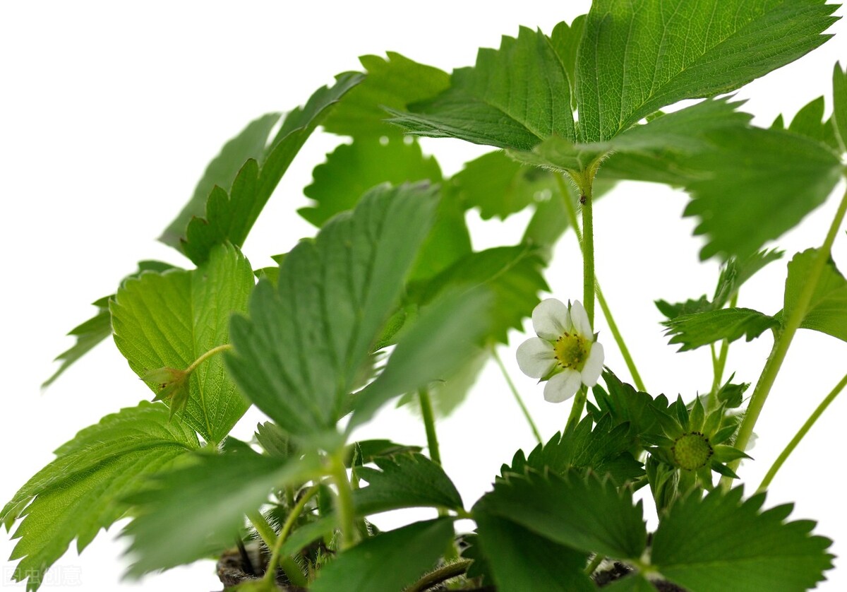 53岁阿姨感慨：人到了一定年纪，懂得自律，才会活出真正的尊严