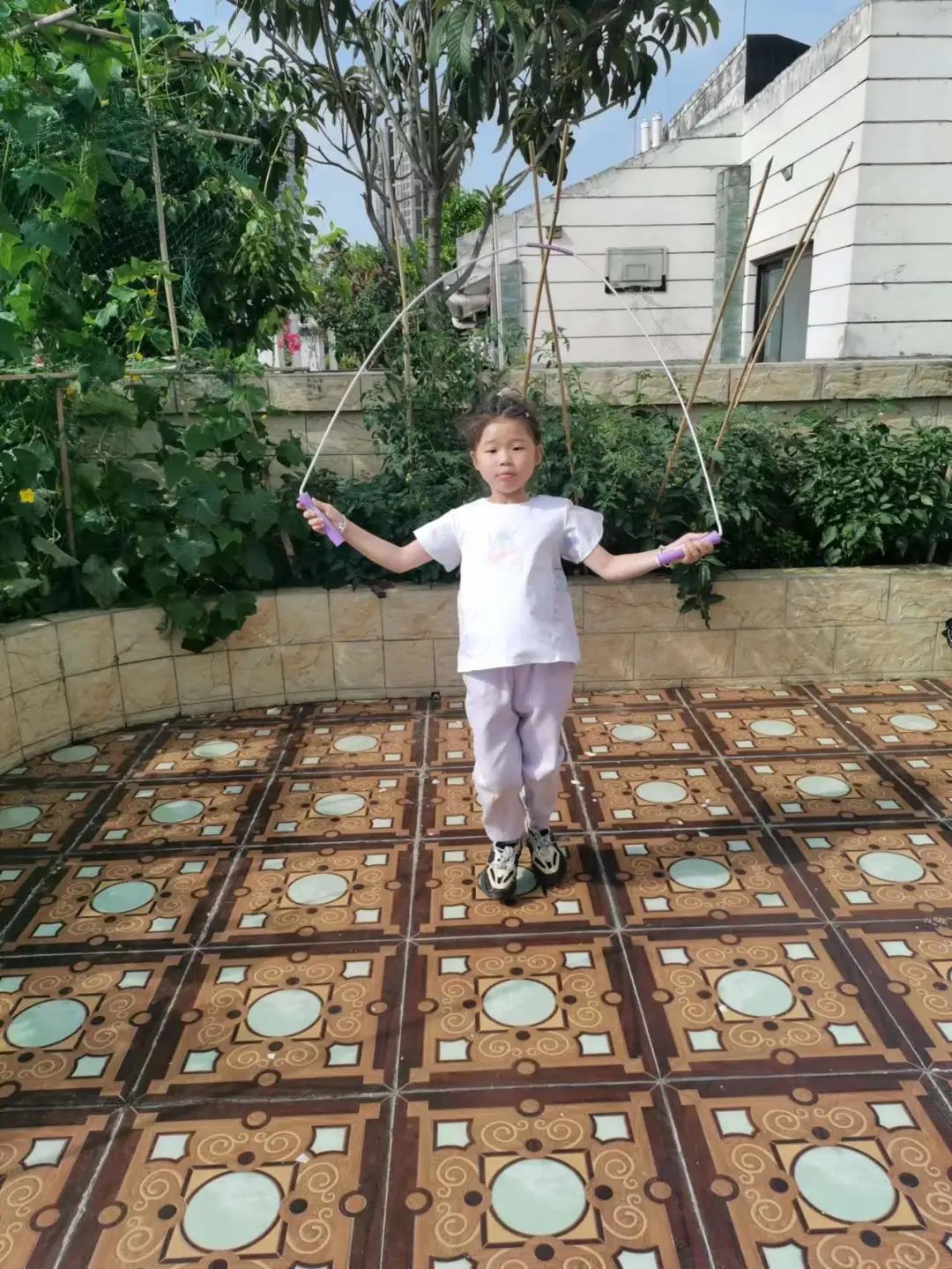 “未来班”良好习惯养成 美好未来可期——南湖小学未来中队成长记