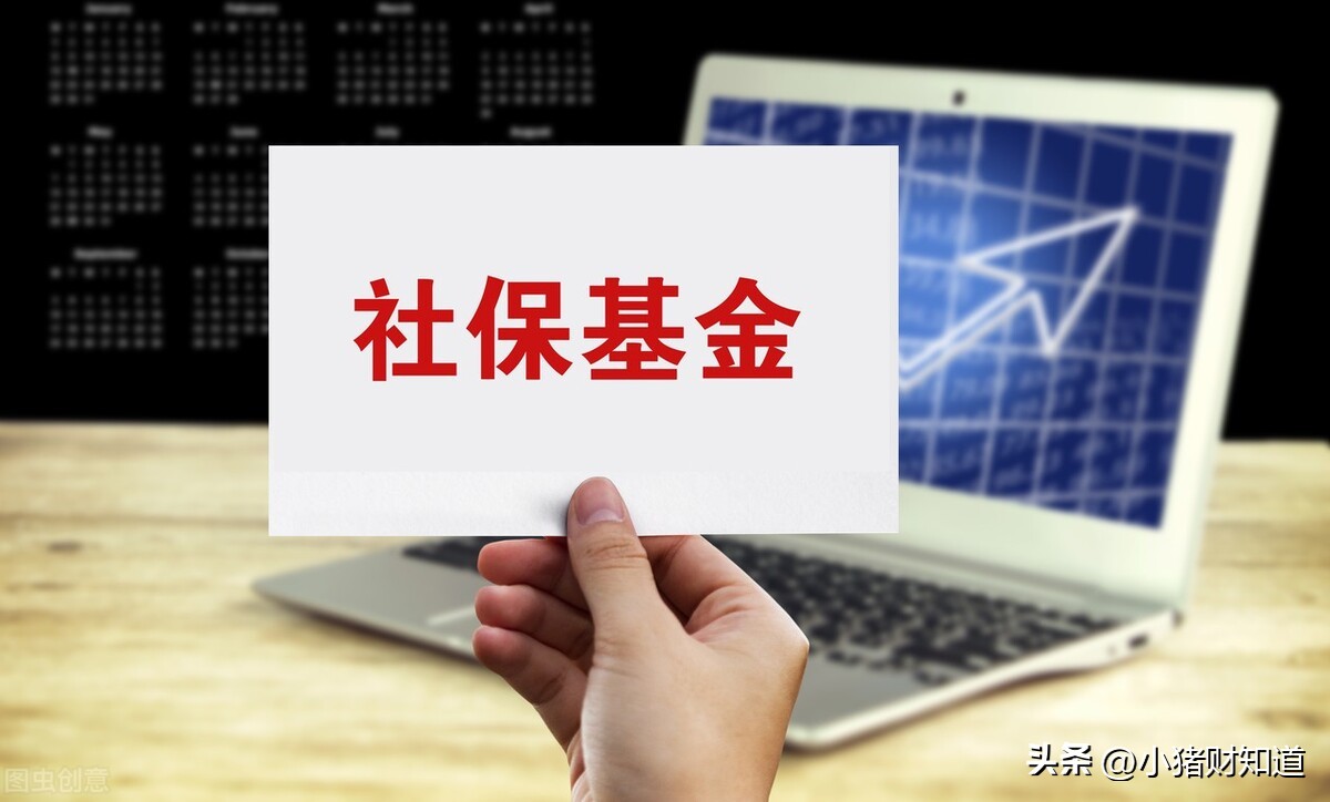 社保基金调仓知多少，新进这些上市公司，多家龙头在列！收藏