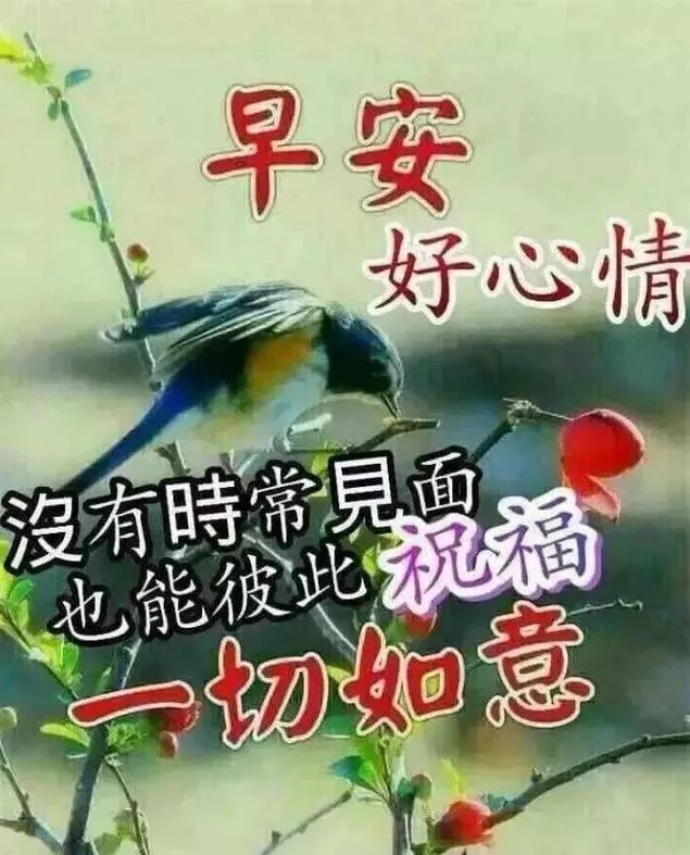 微信早上好图片带字 祝福语友情早上好问候短句 天气很热、要多喝水图片