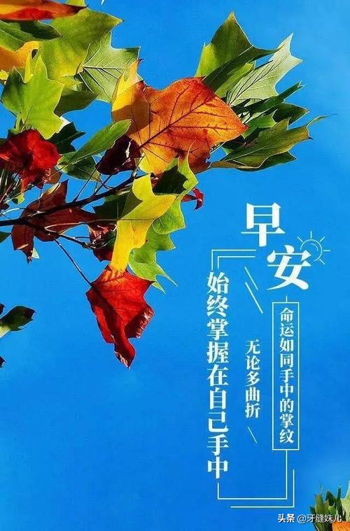 朋友圈点赞最高的早安语录句子！2022.3.17