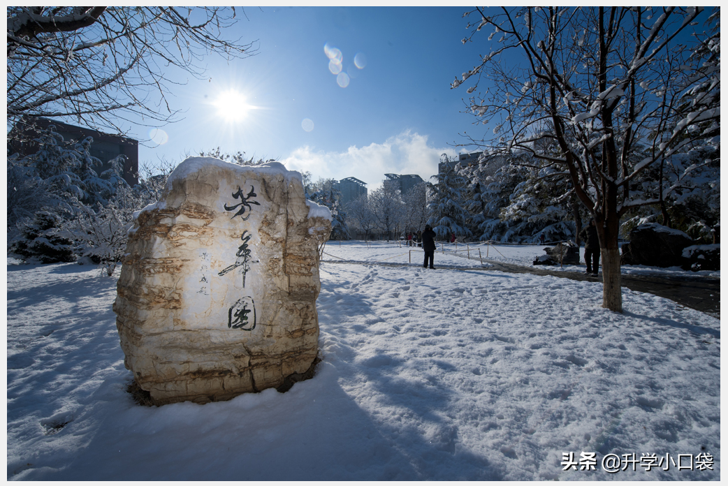 高考填志愿，北京交通大学各专业的就业率和升学率如何？