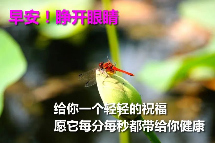 早上好图片大全 早上好动态图片 笑脸如花心情艳，甜蜜如雨软绵绵图片