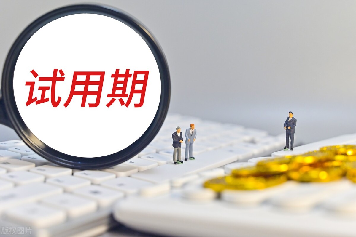 试用期工作总结简短500字通用