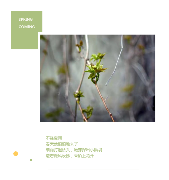 潮空間②∣與春天有關(guān)的小確幸