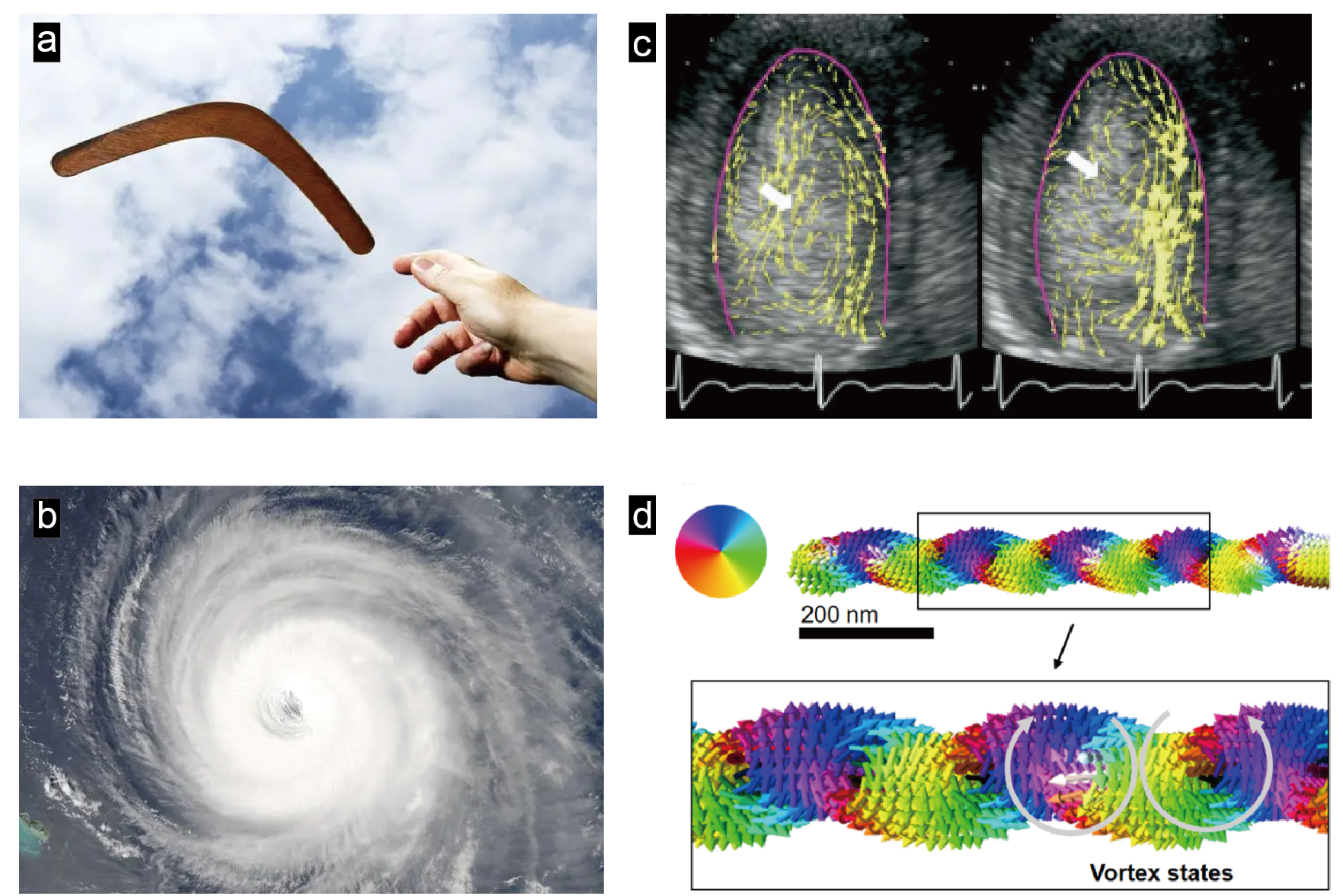 无时间衍射横向轨道角动量光束