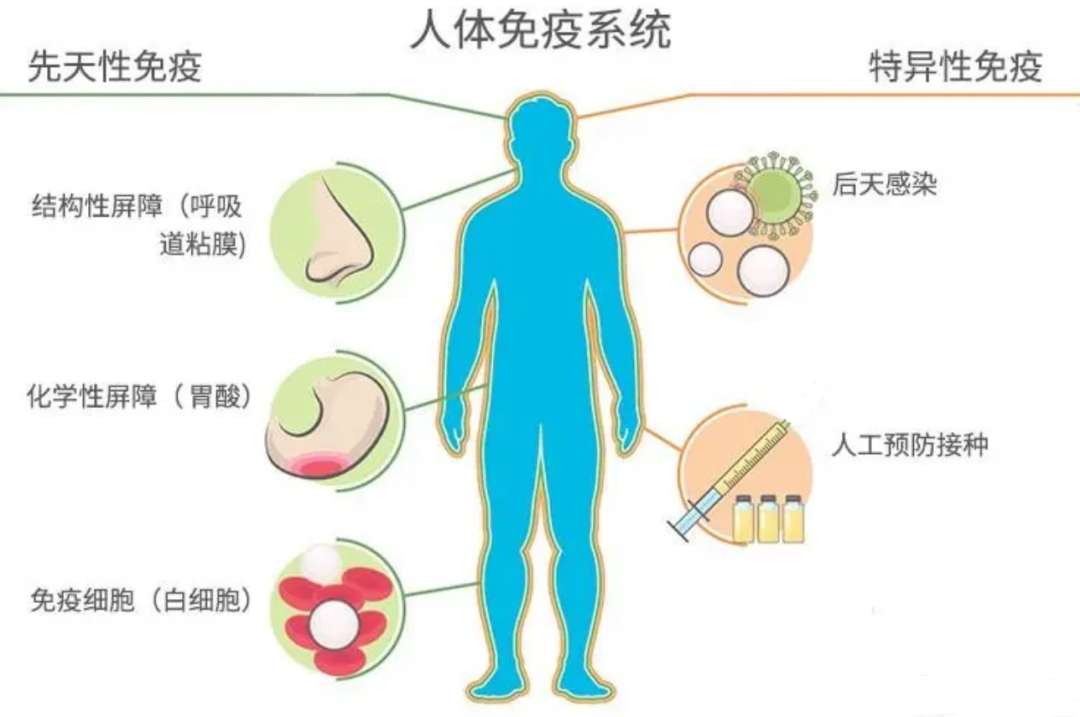 宇航员上天没多久，自己的国家却“没了”，于是在太空呆了311天